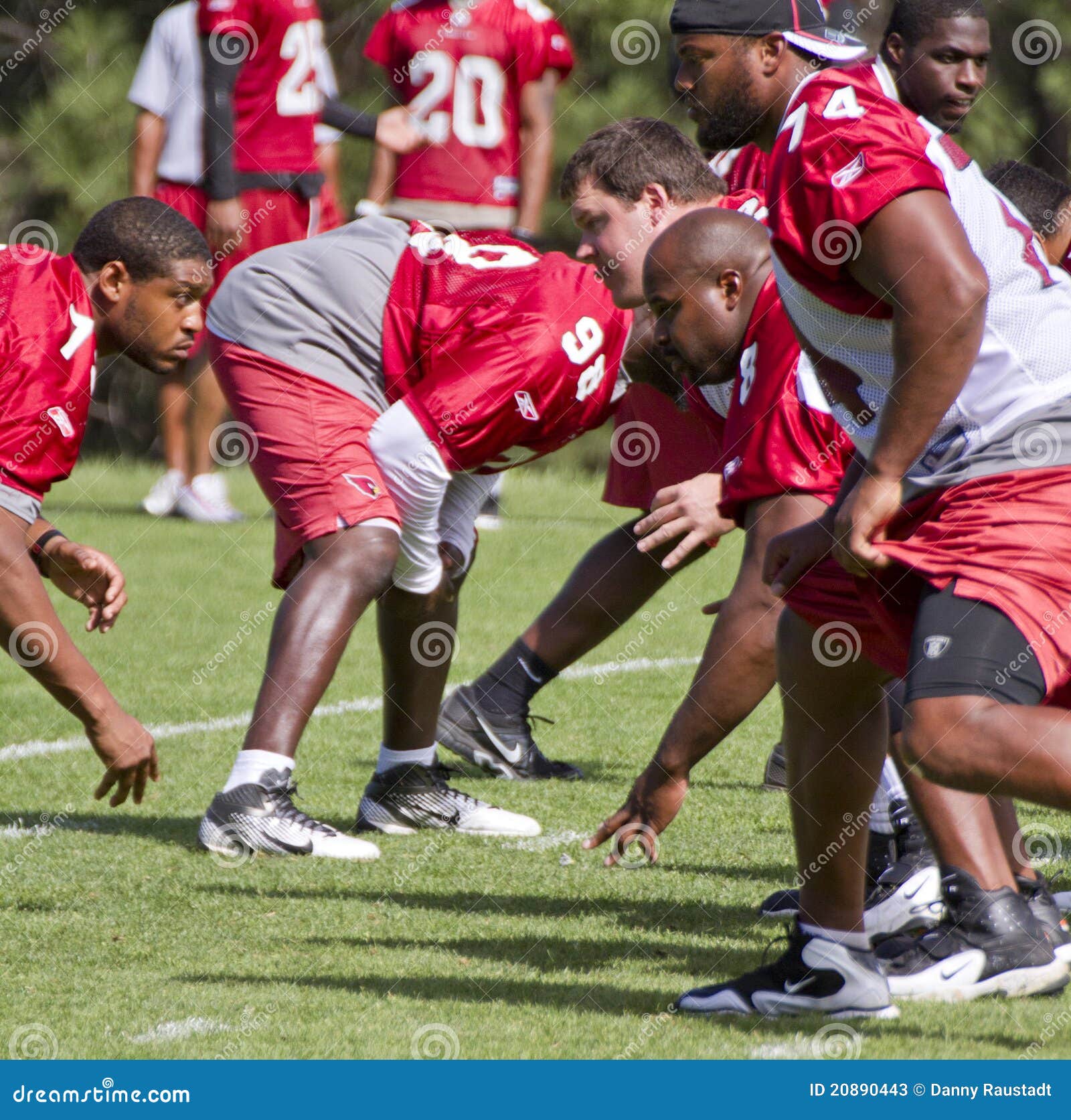 NFL Arizona Cardinals Training Camp Editorial Stock Photo - Image of ...