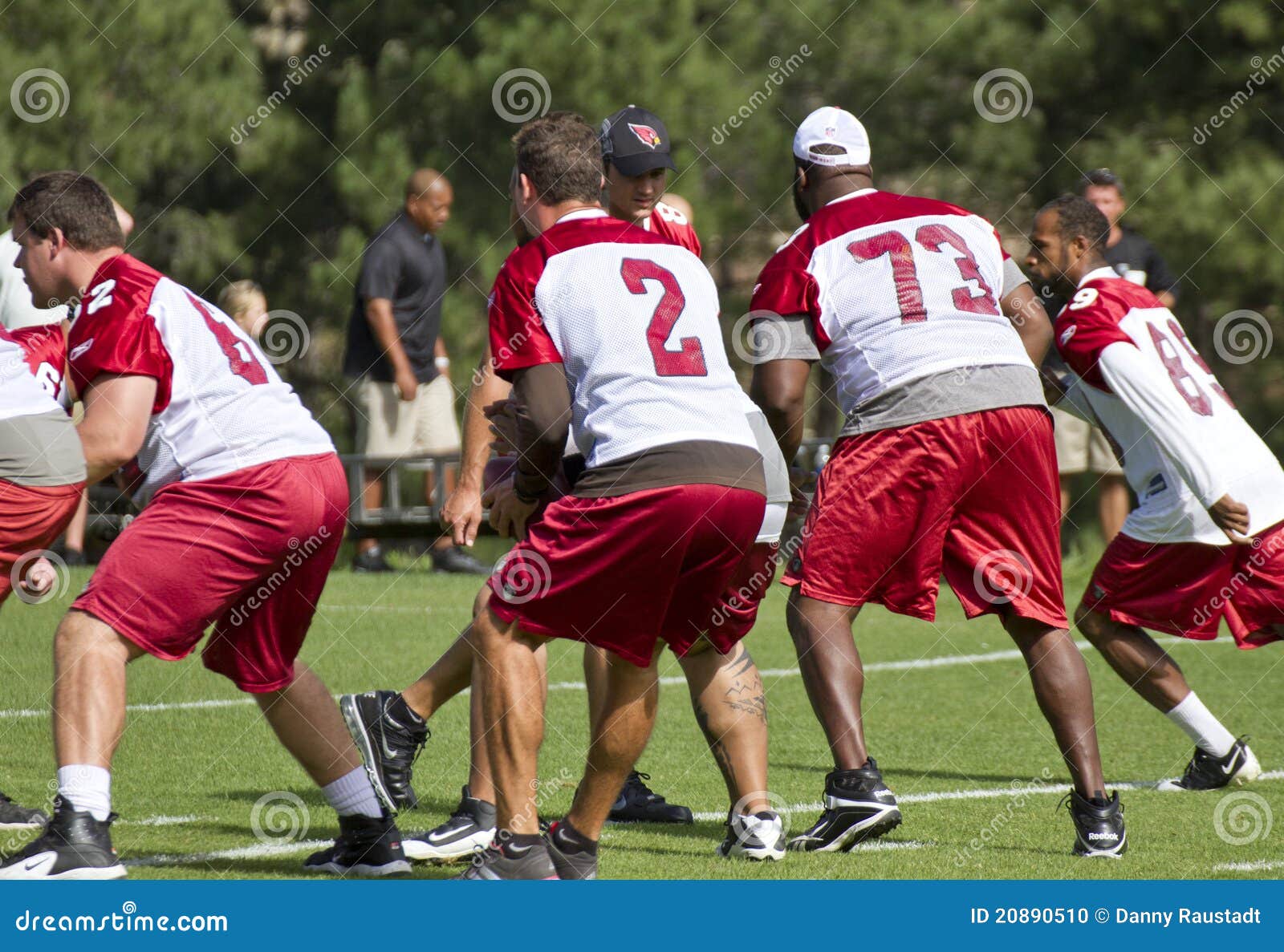 NFL Arizona Cardinals Training Camp Editorial Image - Image of kick ...