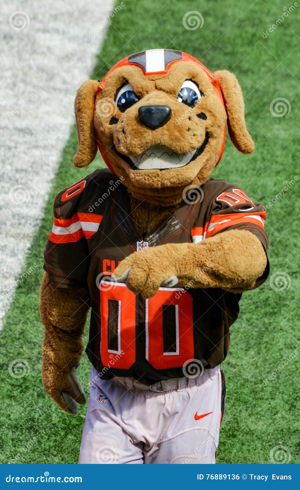 Nfl Mascot Stock Photos - Free & Royalty-Free Stock Photos from Dreamstime