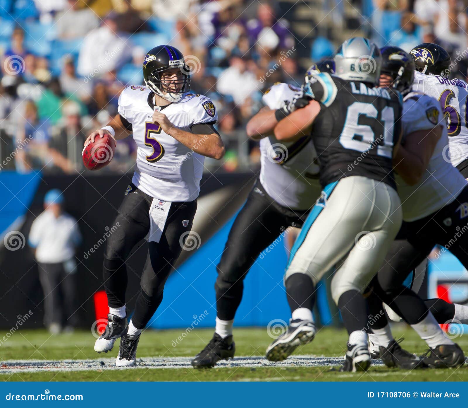 NFL: Nov 21 Baltimore Ravens Vs Carolina Panthers Editorial Photo - Image  of sports, quarterback: 17108706
