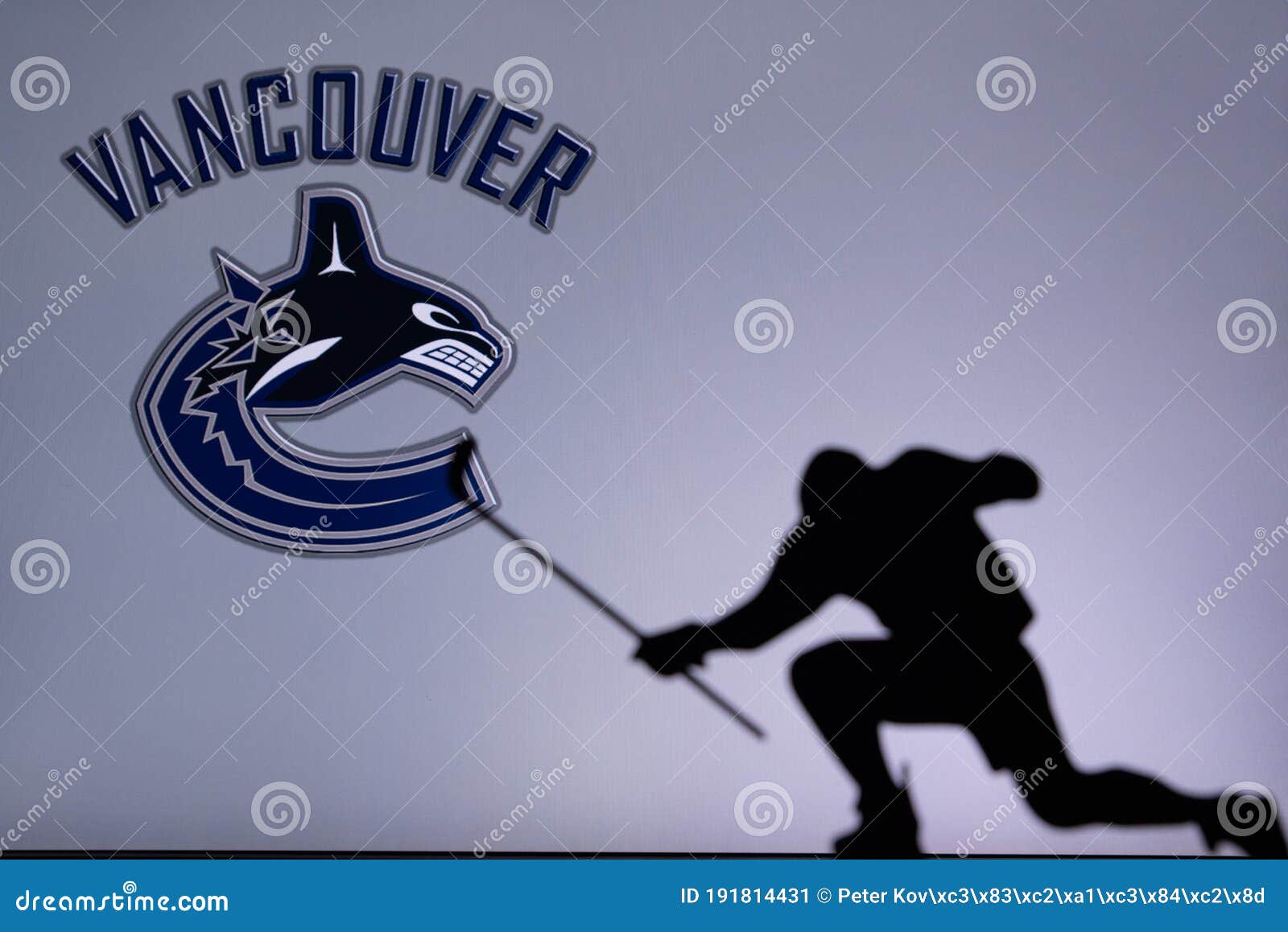 Vancouver Canucks Logo PNG Vector (AI) Free Download