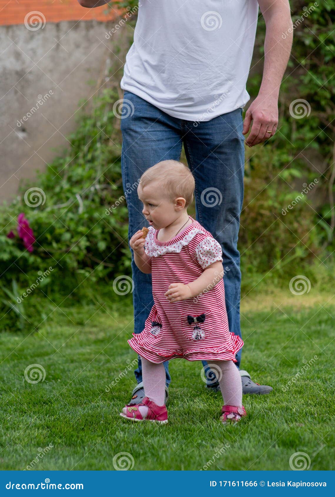 Nina Nina De 1 Ano De Edad Va A La Escuela El Padre Camina Con El Nino A Traves De La Hierba Verde El Bebe Aprende A Caminar Foto De Archivo Nina Nina De 1 Ano De Edad Va A La Escuela El Padre Camina Con El Nino A Traves De La Hierba Verde El Bebe Aprende A Caminar Foto De Archivo