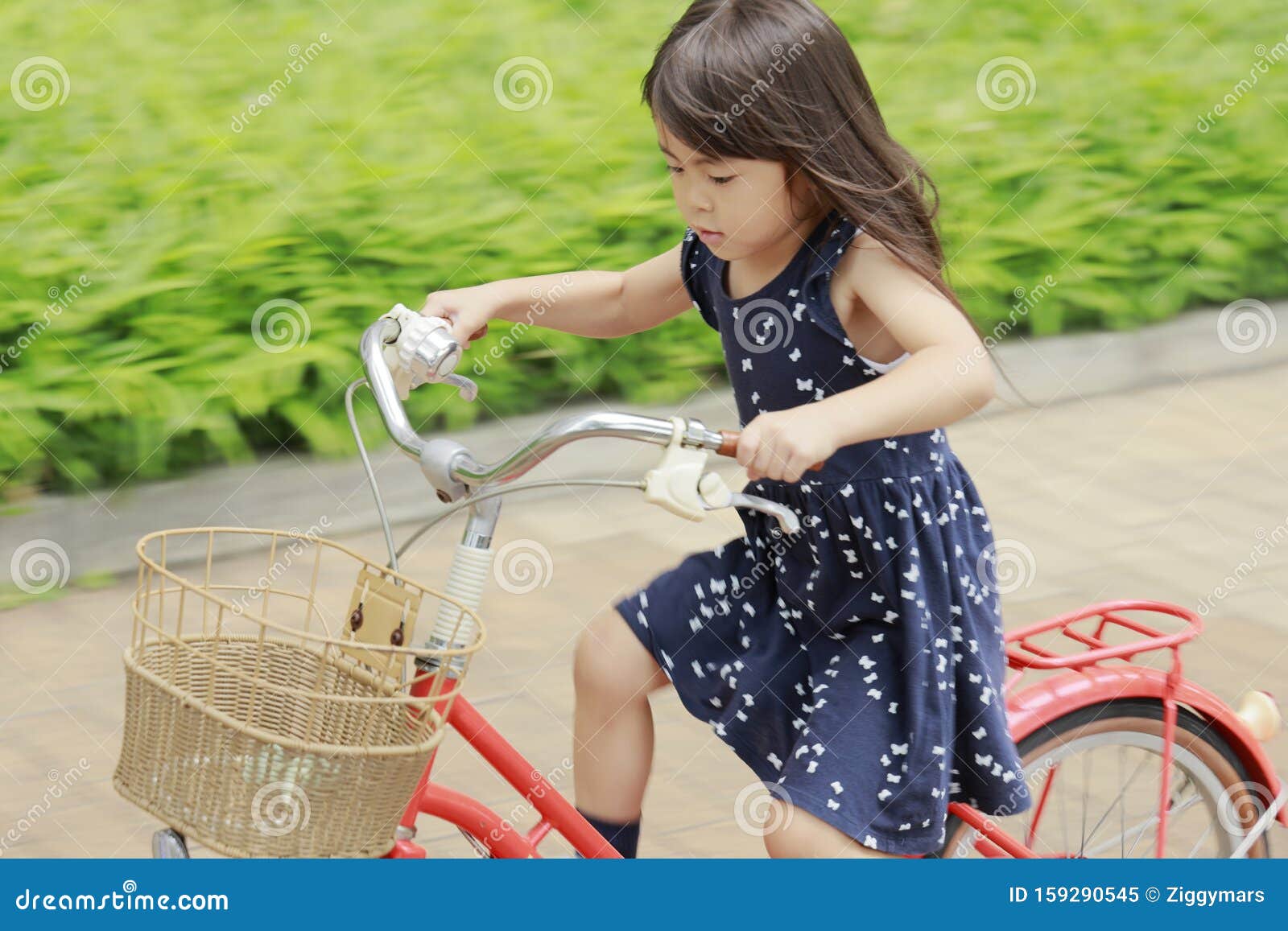 NiÃ±a Japonesa Montando En Bicicleta Imagen de archivo - Imagen de persona,  paseo: 159290545
