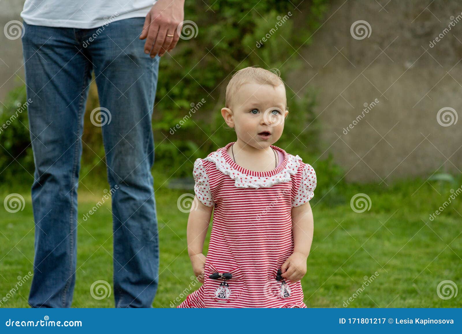 Nina Pequena Nina De 1 Ano De Edad El Padre Camina Con El Nino A Traves De La Hierba Verde El Bebe Aprende A Caminar Imagen De Archivo Imagen De Cubo Nina Pequena Nina De 1 Ano De Edad El Padre Camina Con El Nino A Traves De La Hierba Verde El Bebe Aprende A Caminar Imagen De Archivo Imagen De Cubo
