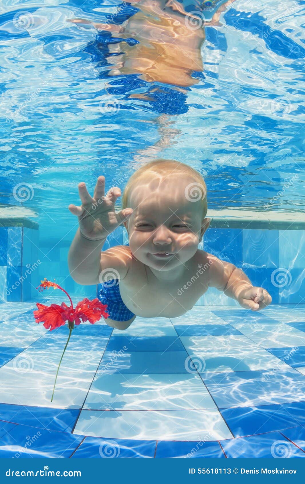 Retrato De Un Nadador Femenino Que Lleva Un Gorro De Baño Y Gafas De  Natación En Piscina De Agua Azul. Mujer Del Deporte. Fotos, retratos,  imágenes y fotografía de archivo libres de