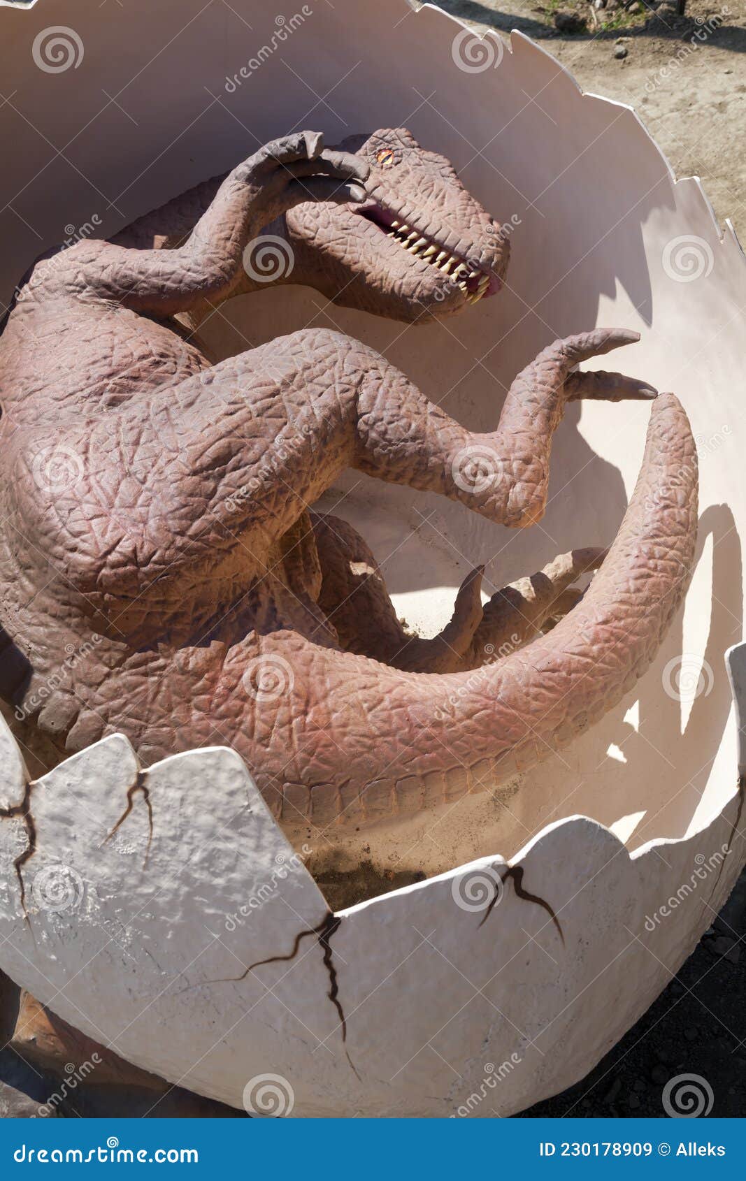 Niño Reptil Nacido De Huevo. Reconstruida Maqueta Animada De Un Dinosaurio Imagen de archivo - Imagen de animal, dino: 230178909 Niño Reptil Nacido De Huevo. Reconstruida Maqueta Animada De Un Dinosaurio Imagen de archivo - Imagen de animal, dino: 230178909