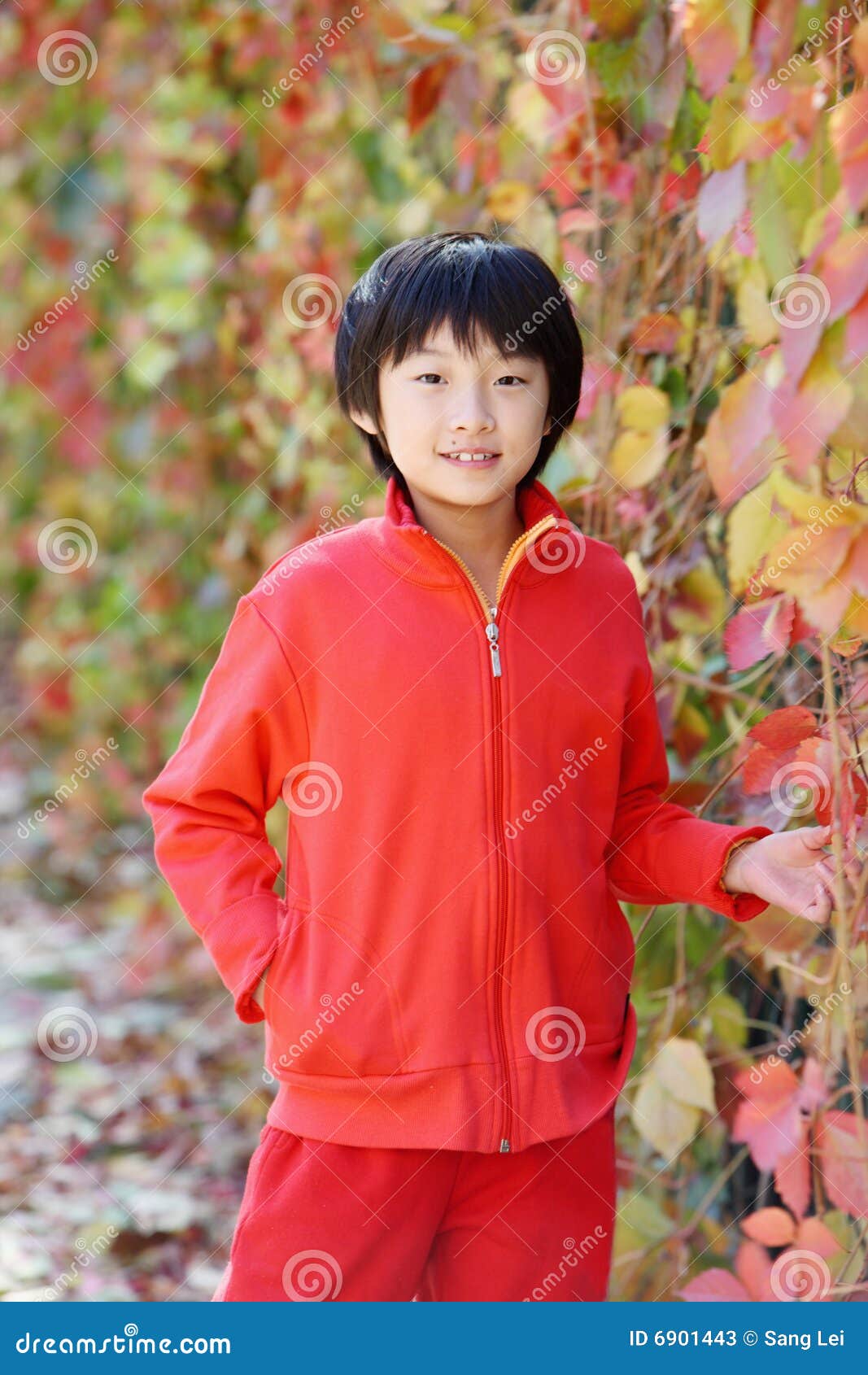 ventilador Carne de cordero Hobart Niños chinos imagen de archivo. Imagen de encantador, belleza - 6901443