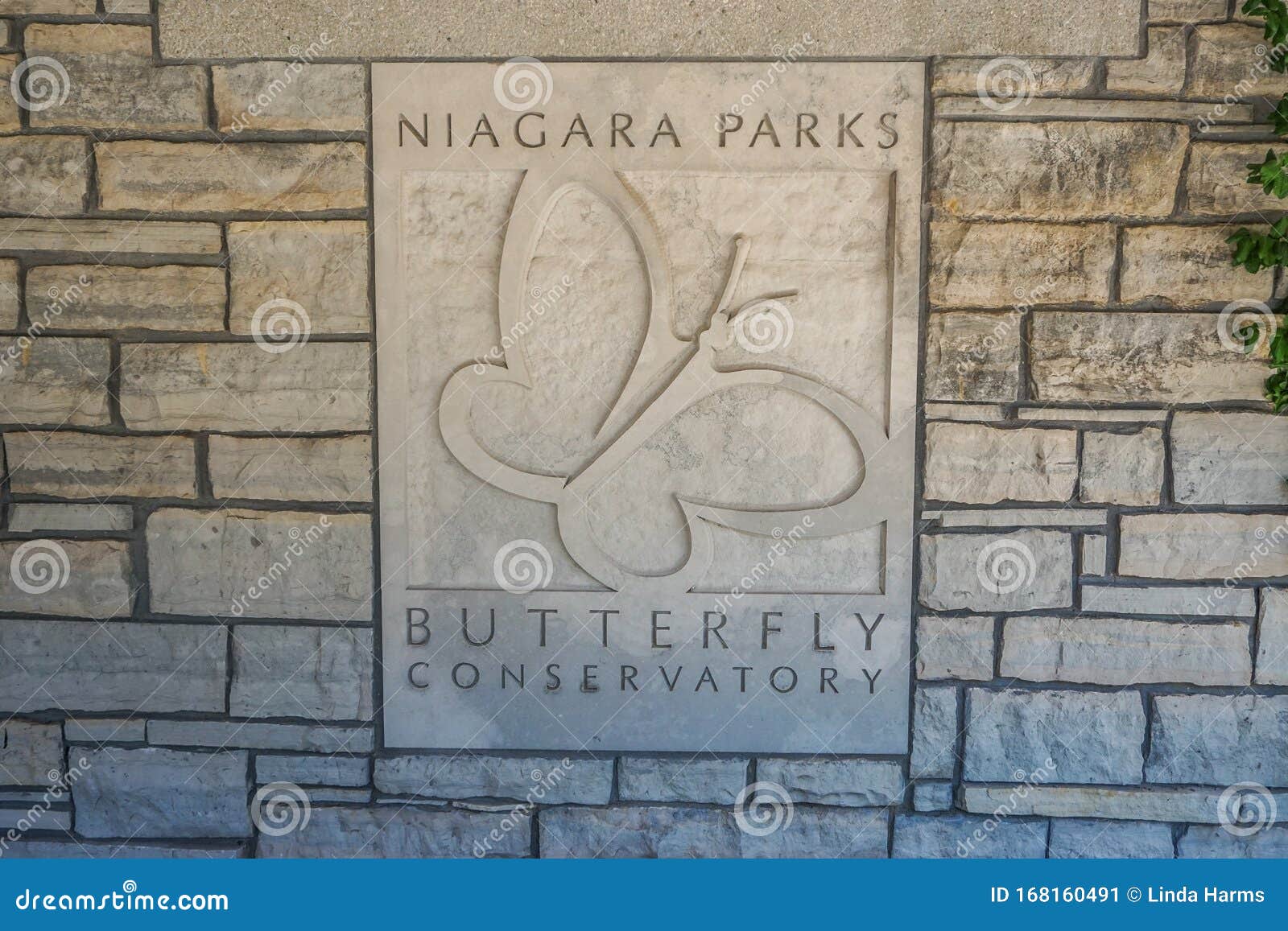 niagara-on-the-lake, ontario, canada: the niagara parks butterfly conservatory