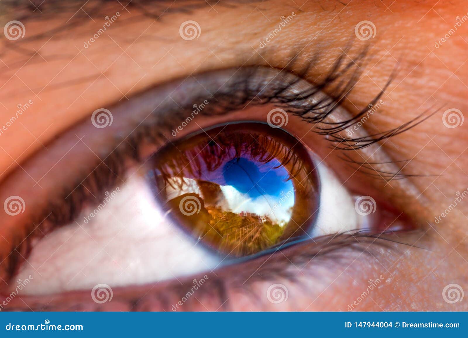 Waterfall eye reflection stock photo. Image of waterfall 147944004