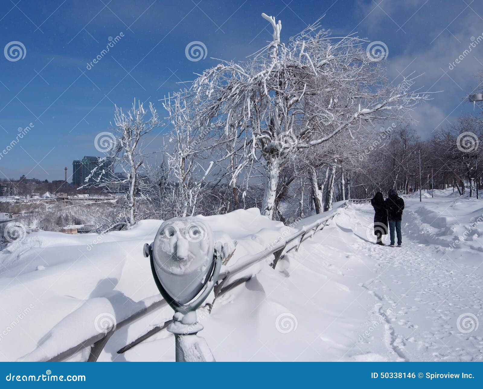 Niagara Park in winter editorial photo. Image of tree 50338146