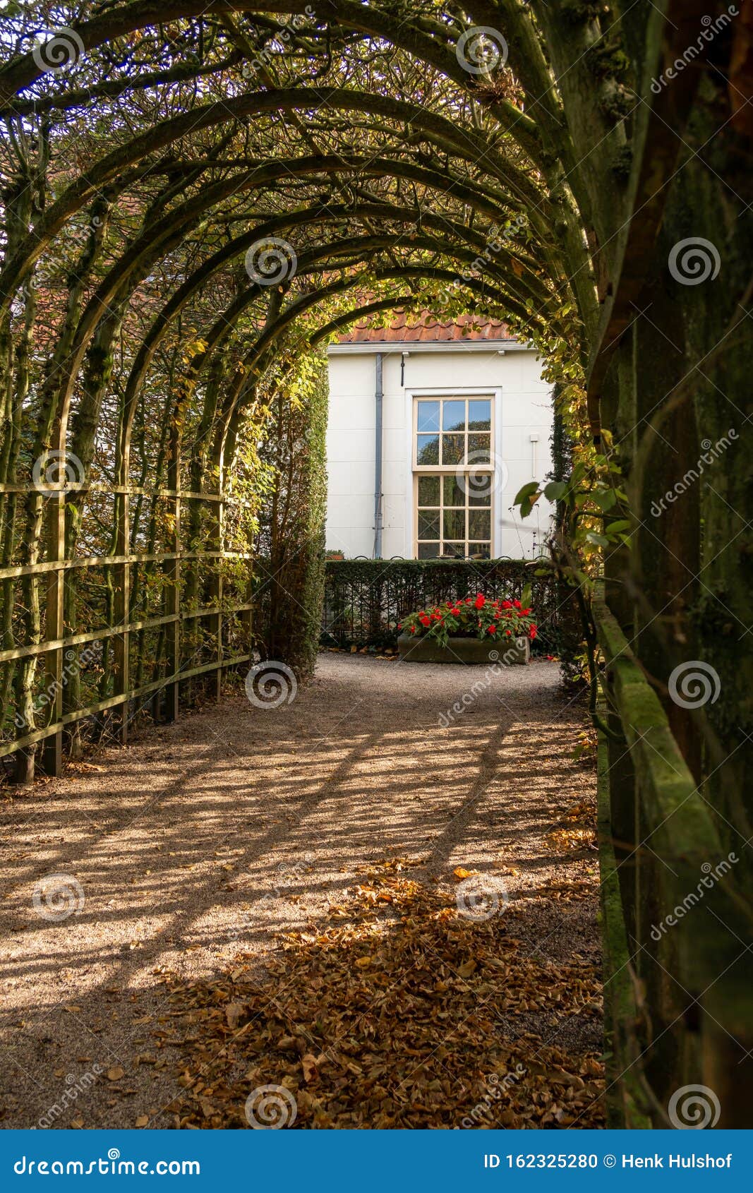 a nice arbor in the netherlands, city groningen, province groningen