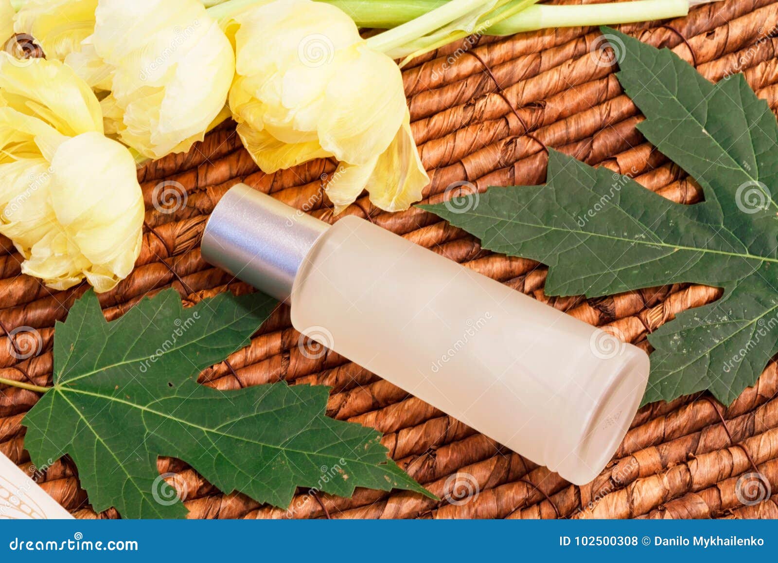 cosmetic bottle, yellow tulips, green leaves and wooden background