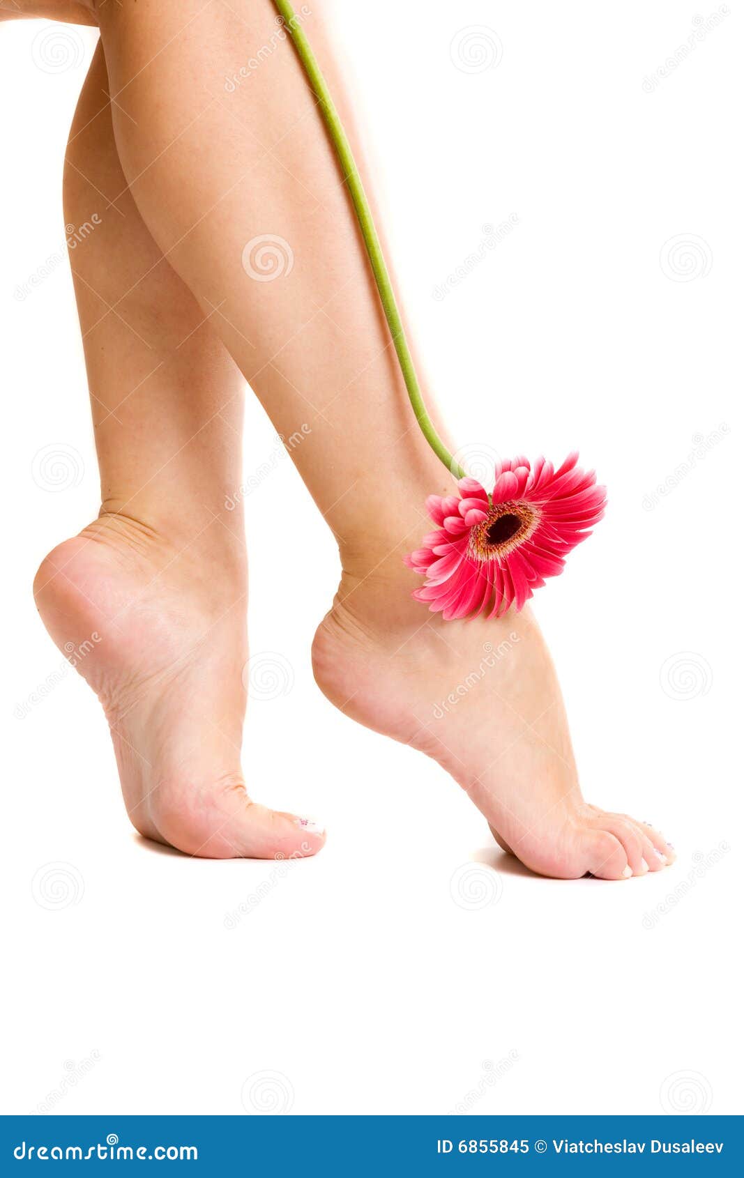 Nice feet and flower. stock image. Image of woman, white 6855845