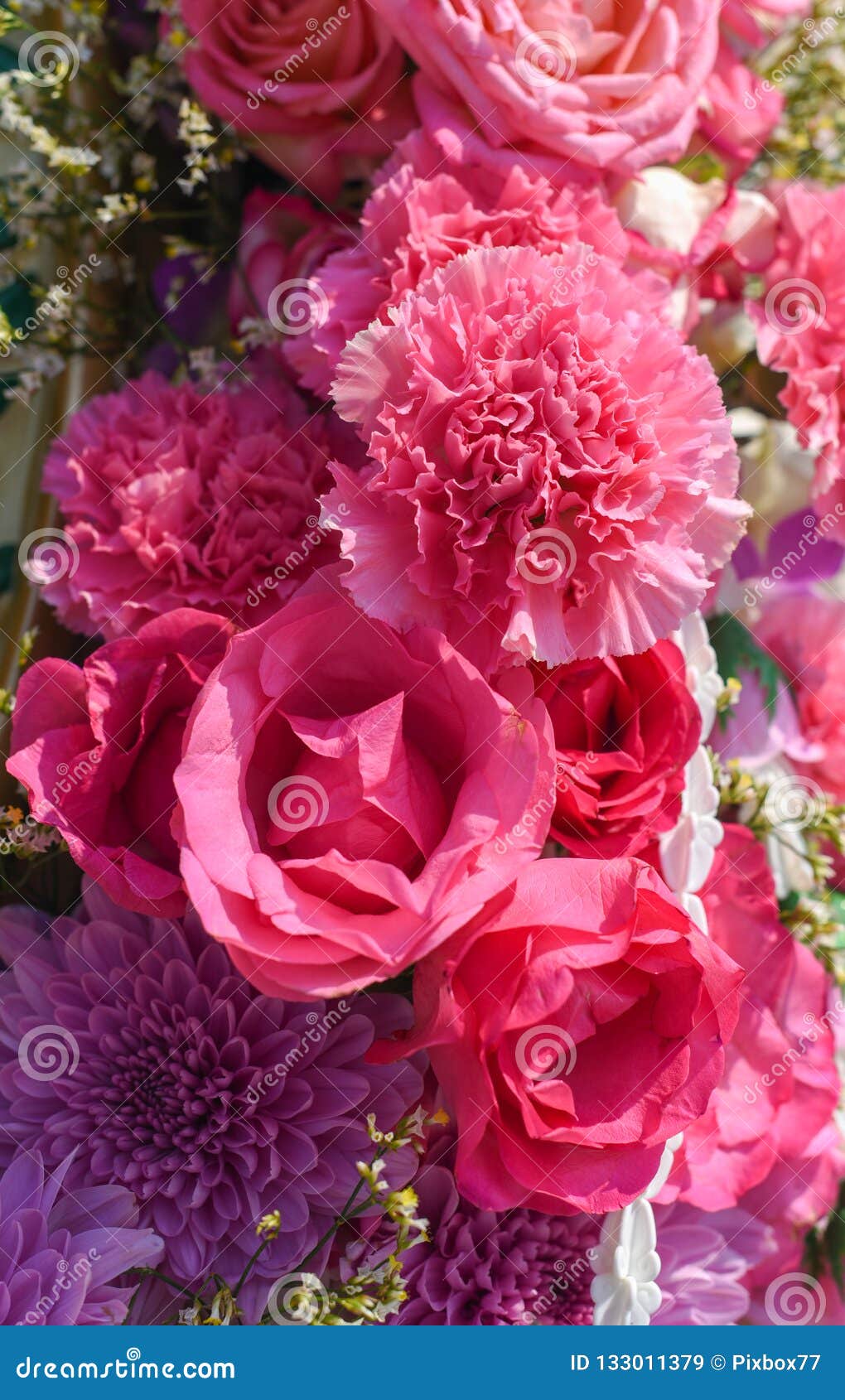 Nice flower background stock image. Image of love, decoration 133011379