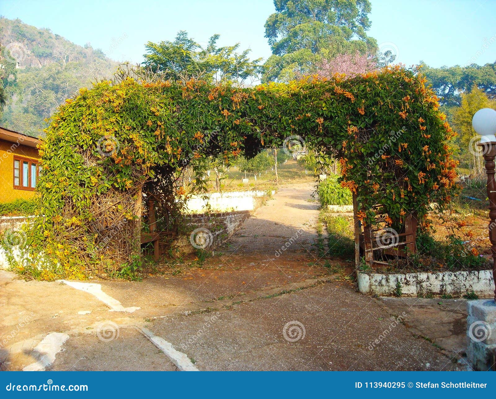 A Nice Garden With Palms And Flowers Stock Image Image Of