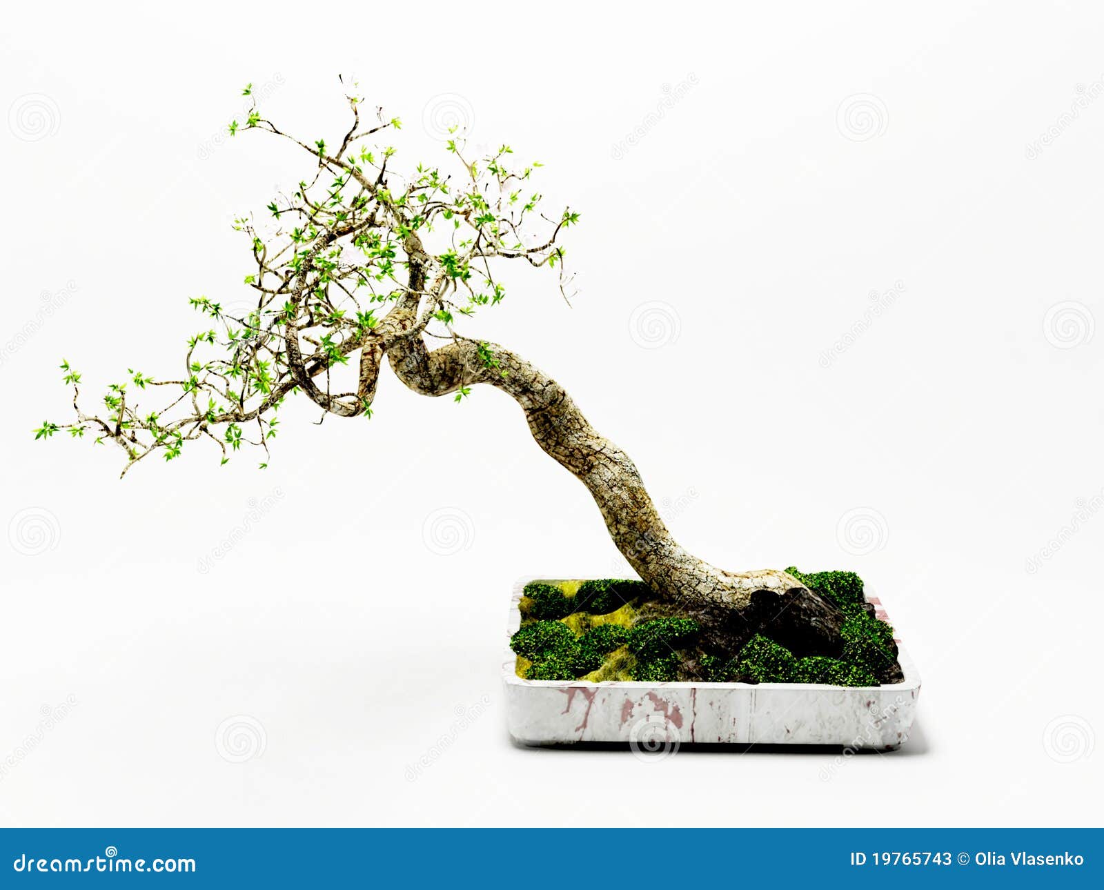 Nice Green Plant in the Glass Vase Stock Illustration Illustration of