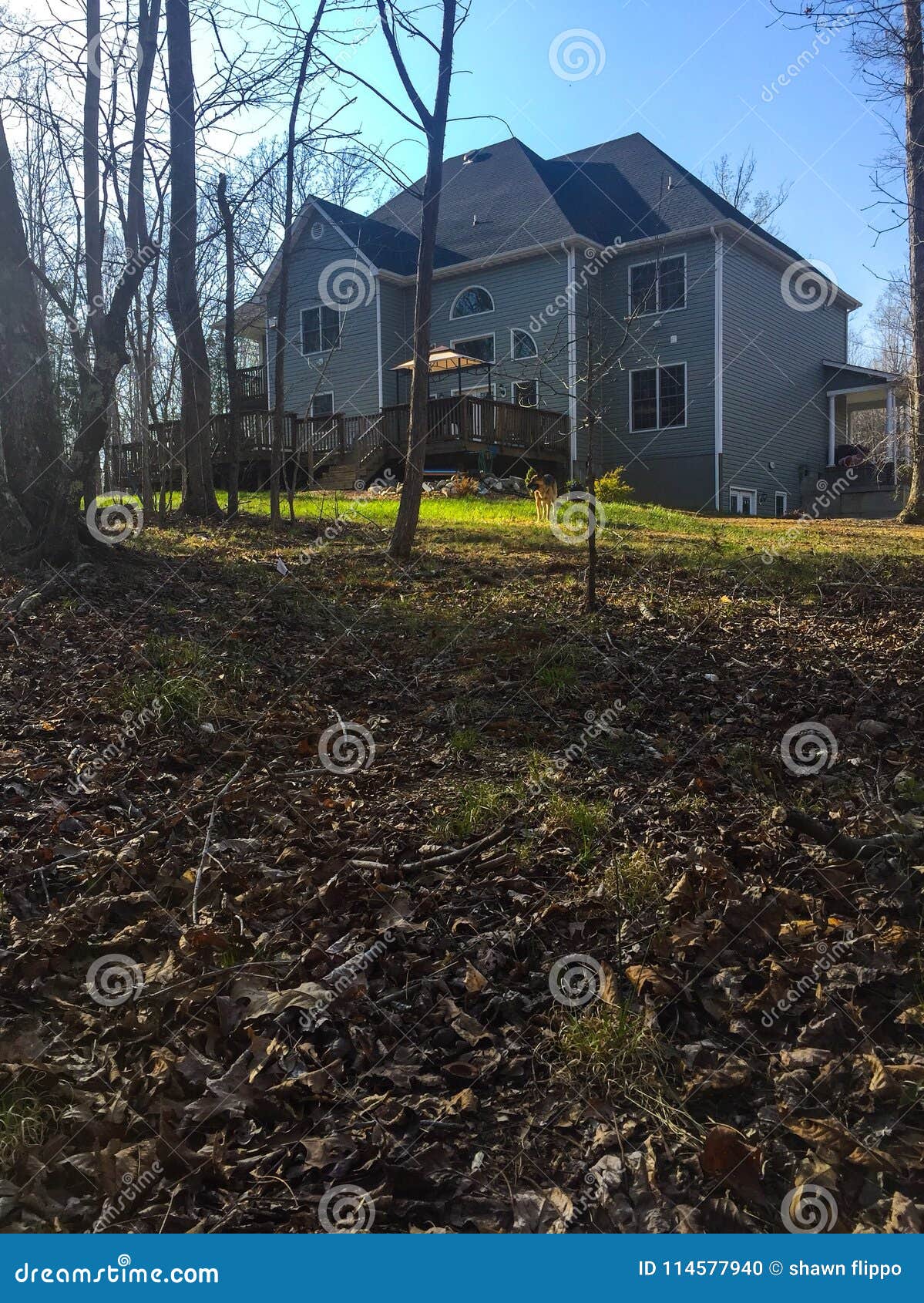 Nice home from woods view stock photo. Image of woods 114577940