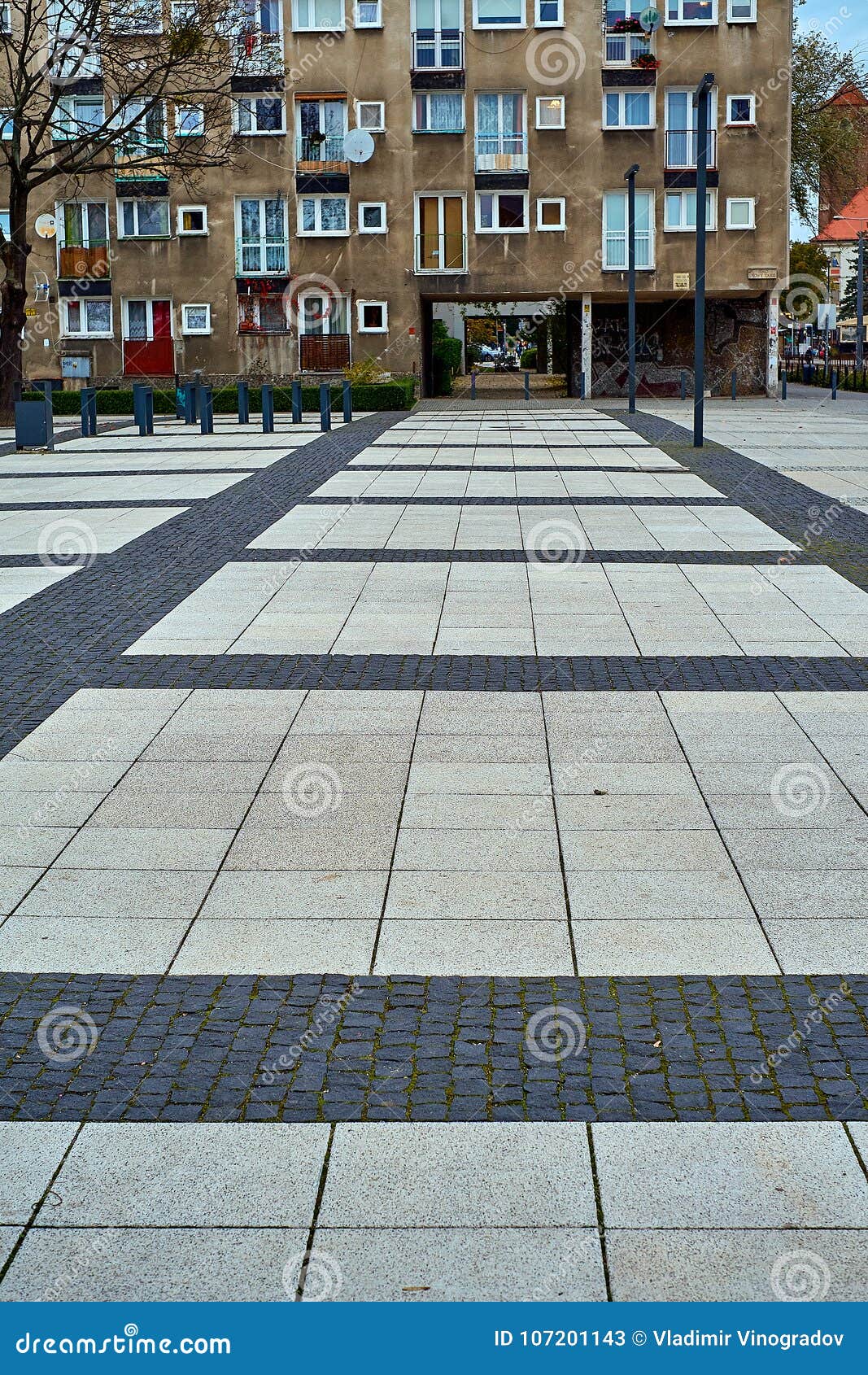 1,665 Targ Stock Photos - Free & Royalty-Free Stock Photos from Dreamstime - Page 6