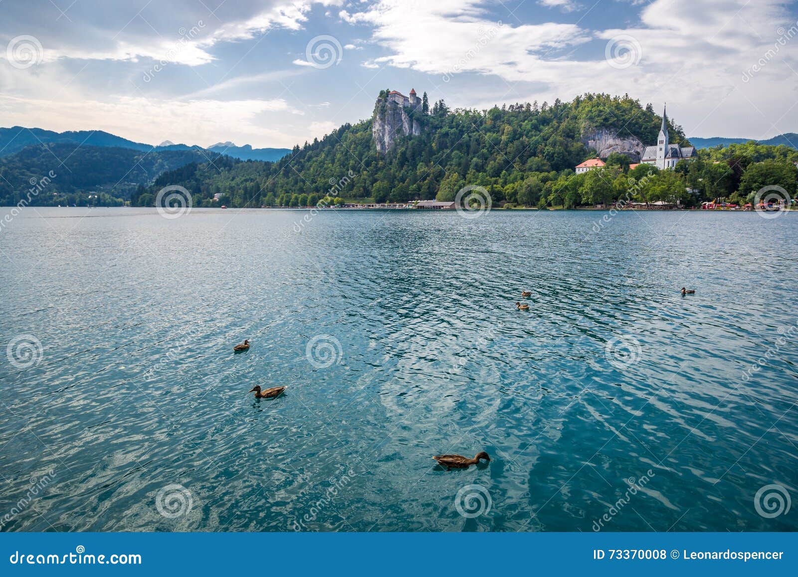 nice nature scenario in the lake of bled.