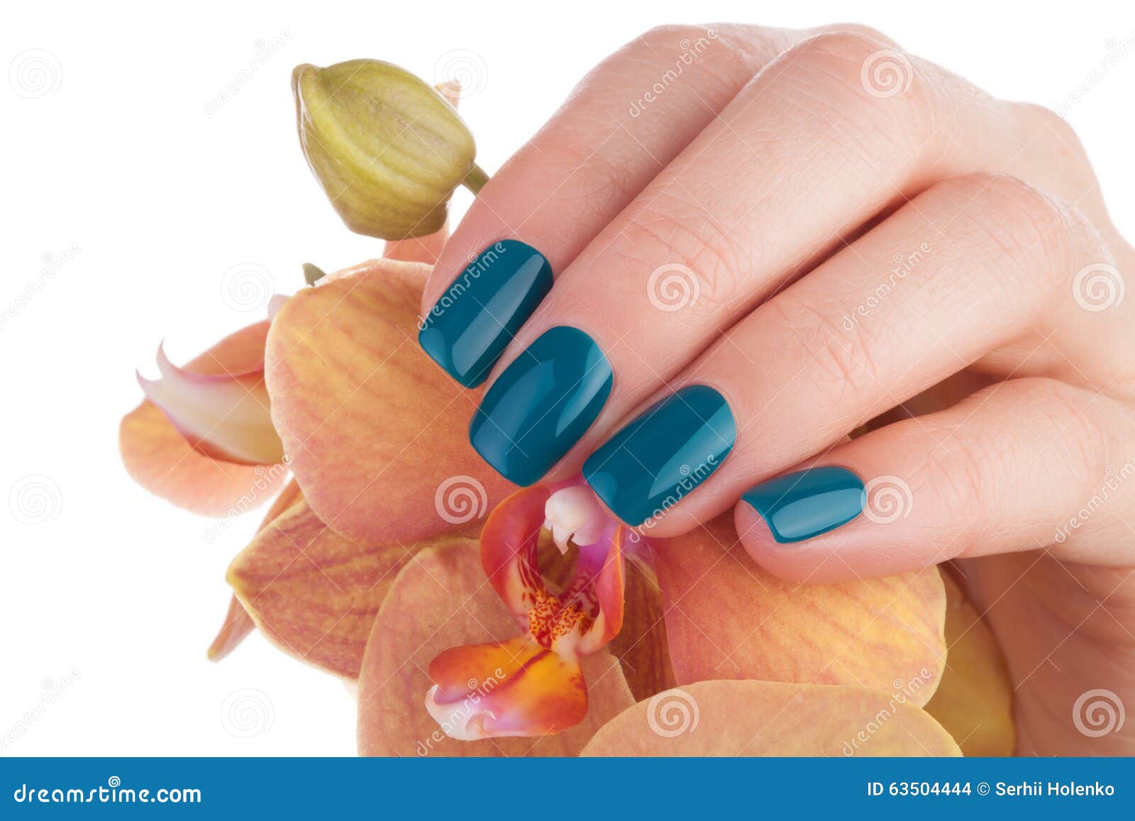 Nice and neat green nails. stock photo. Image of manicure - 63504444