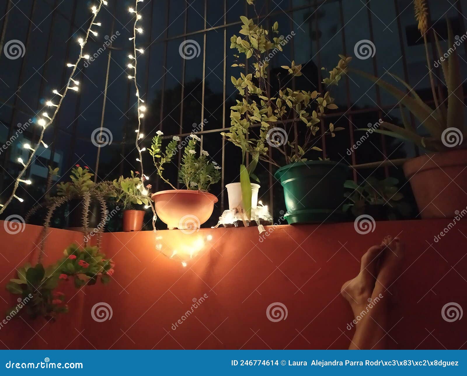 a nice balcony with plants in which to rest. un lindo balcÃÂ³n con plantas en el que descansar