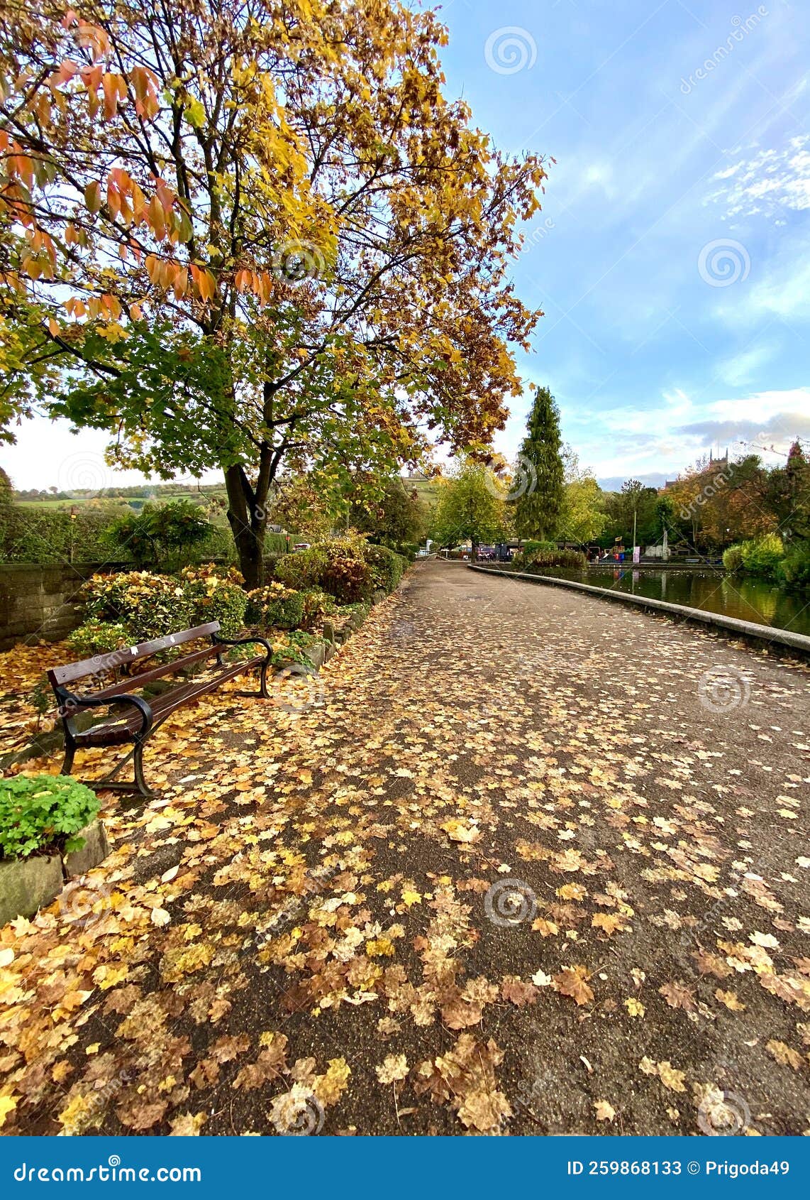autumn park in matlock, united kingdom.