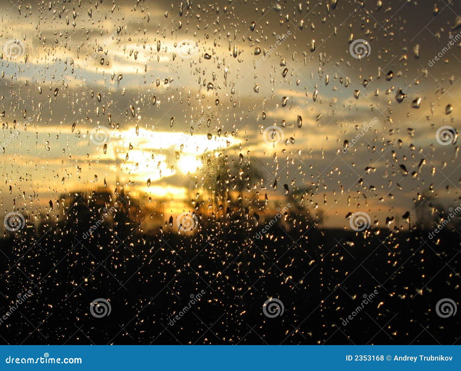 Nice raindrops after rain stock photo. Image of water 2353168