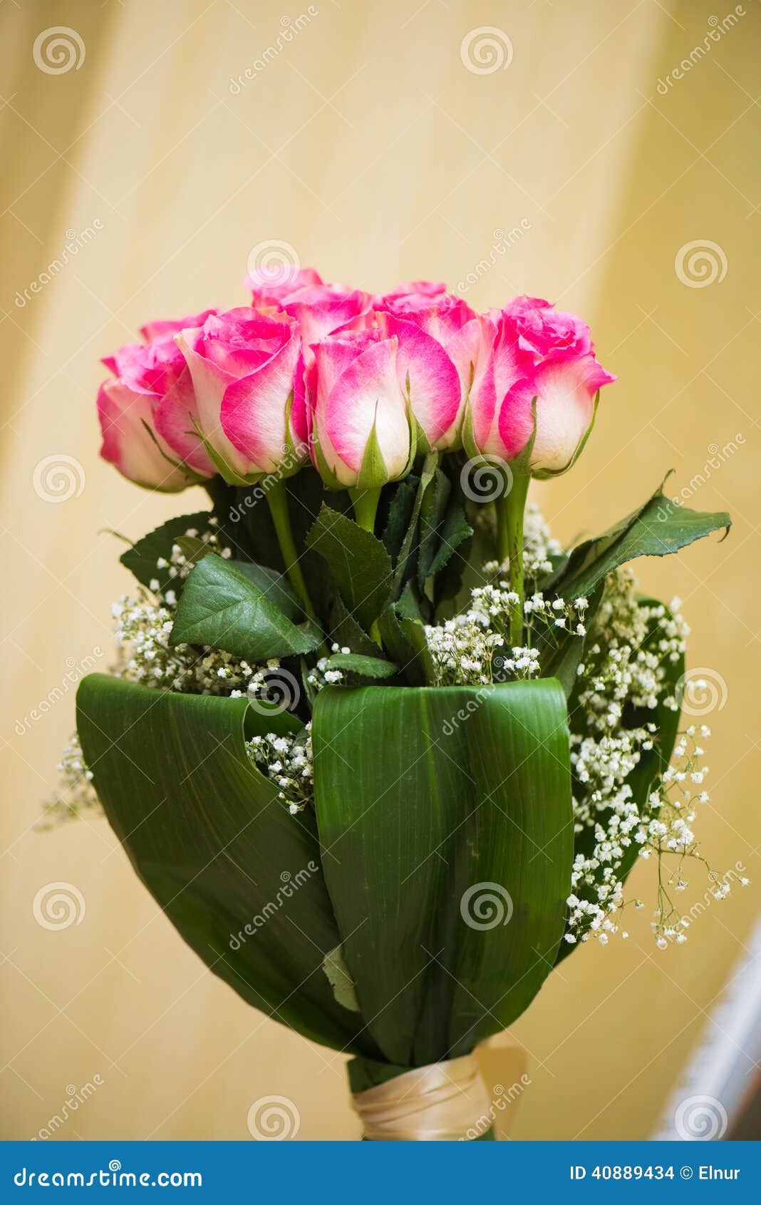 Nice roses stock photo. Image of single, color, macro 40889434