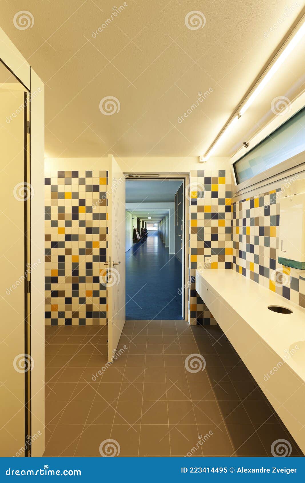 Hates detergent Savvy Interior of a Bathroom of a Swiss Public School Stock Image - Image of  interiors, building: 223414495