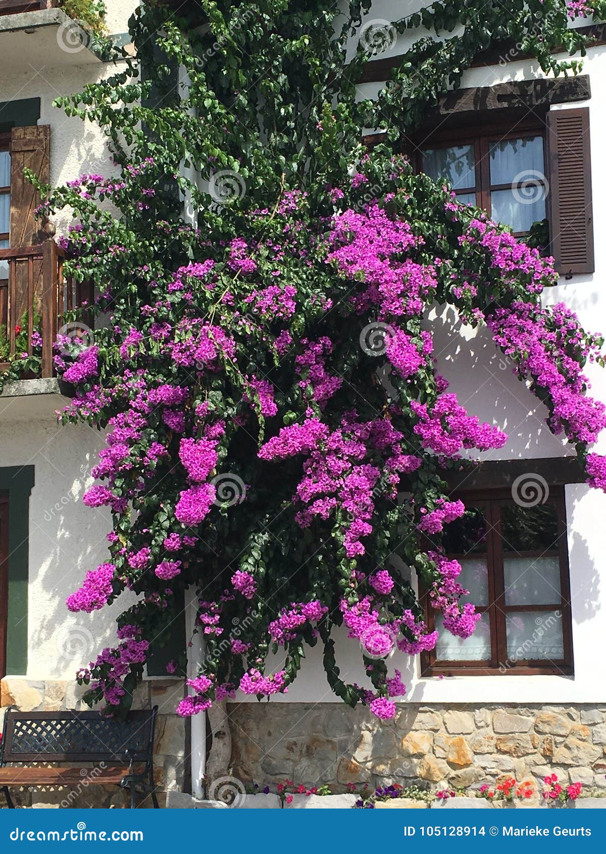 Flowers RoyaltyFree Stock Image 105128914