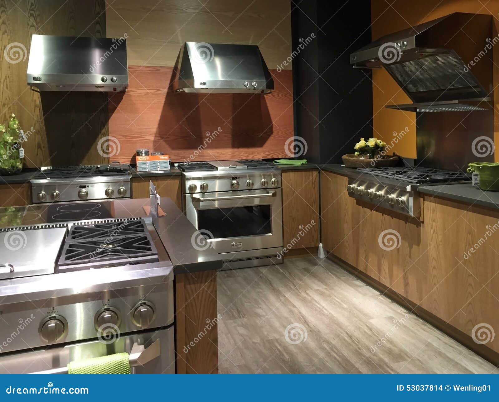Nice Stoves in Kitchen Design Editorial Stock Image Image of stainless, stoves 53037814