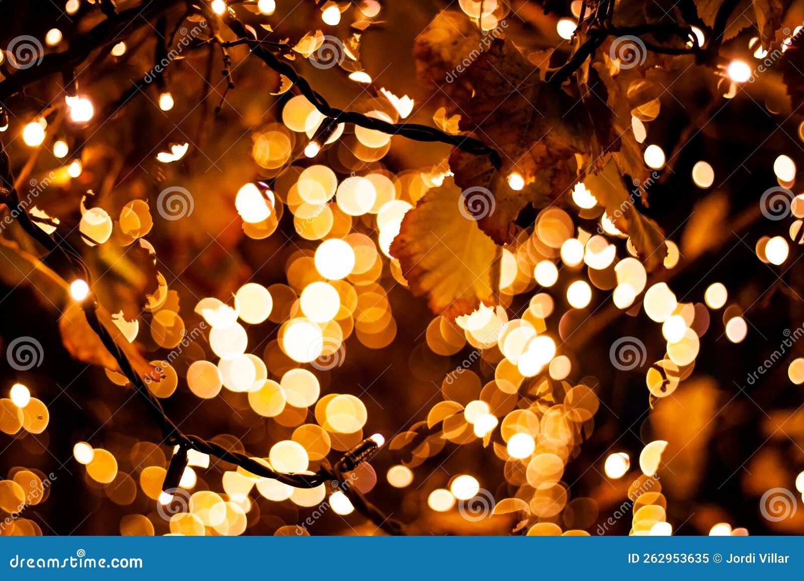 Nice Warm White Christmas Lights with Blurred Background. Stock Image