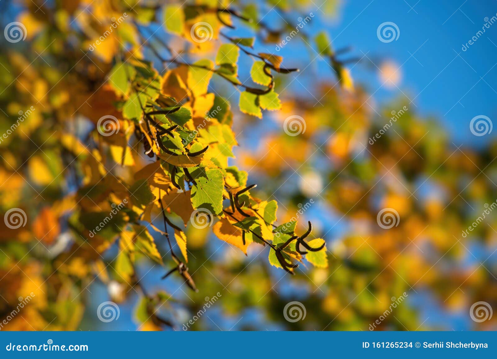 Mùa thu đến rồi, những cánh lá vàng cam đỏ rực rỡ tràn ngập khắp nơi. Nếu bạn không muốn bỏ lỡ cảnh tượng đẹp như tranh vẽ này, hãy xem hình ảnh để cảm nhận tất cả những điều tuyệt vời của mùa thu này.