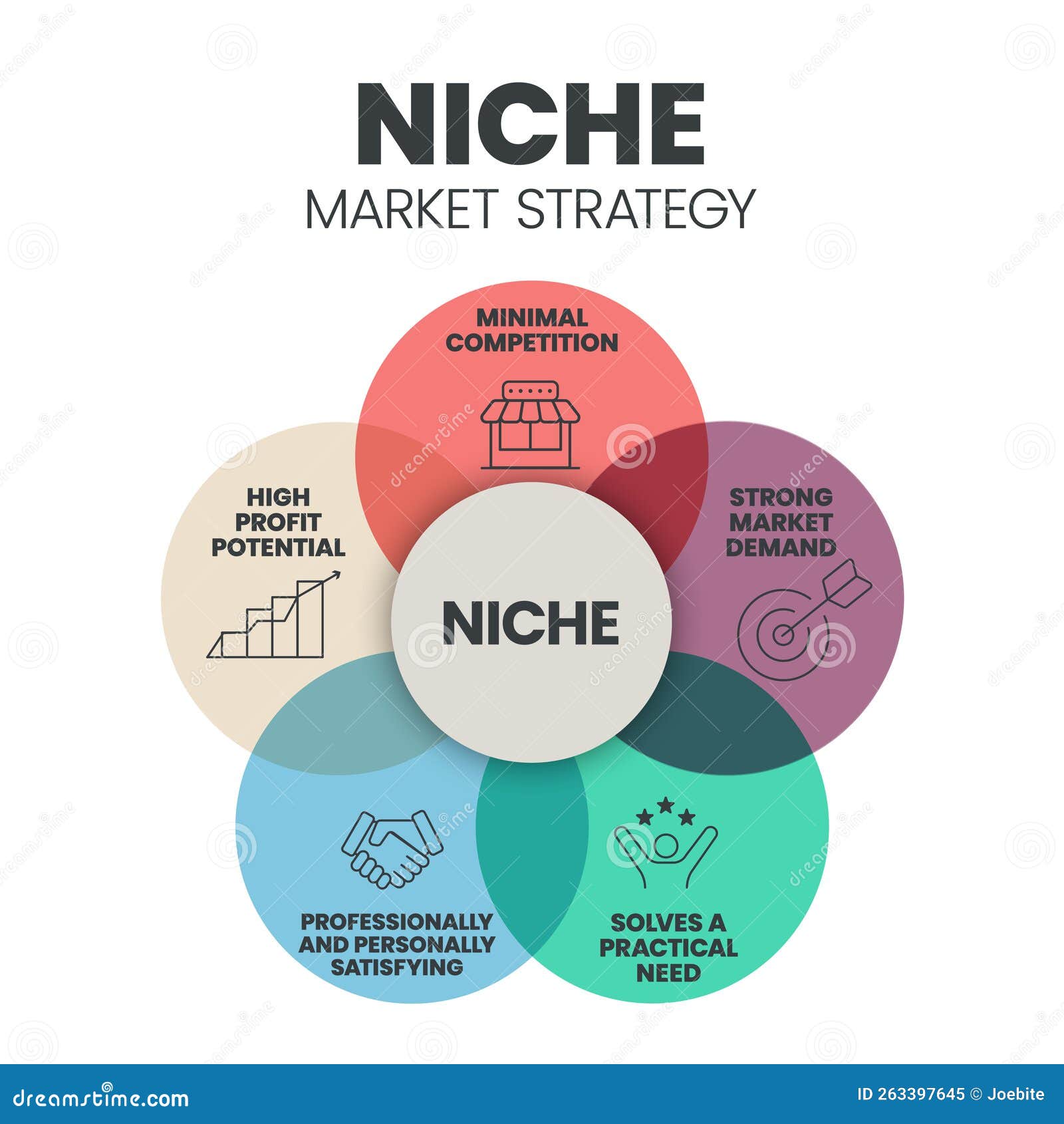 Niche Market Strategy Infographic Presentation Template with Icons Such