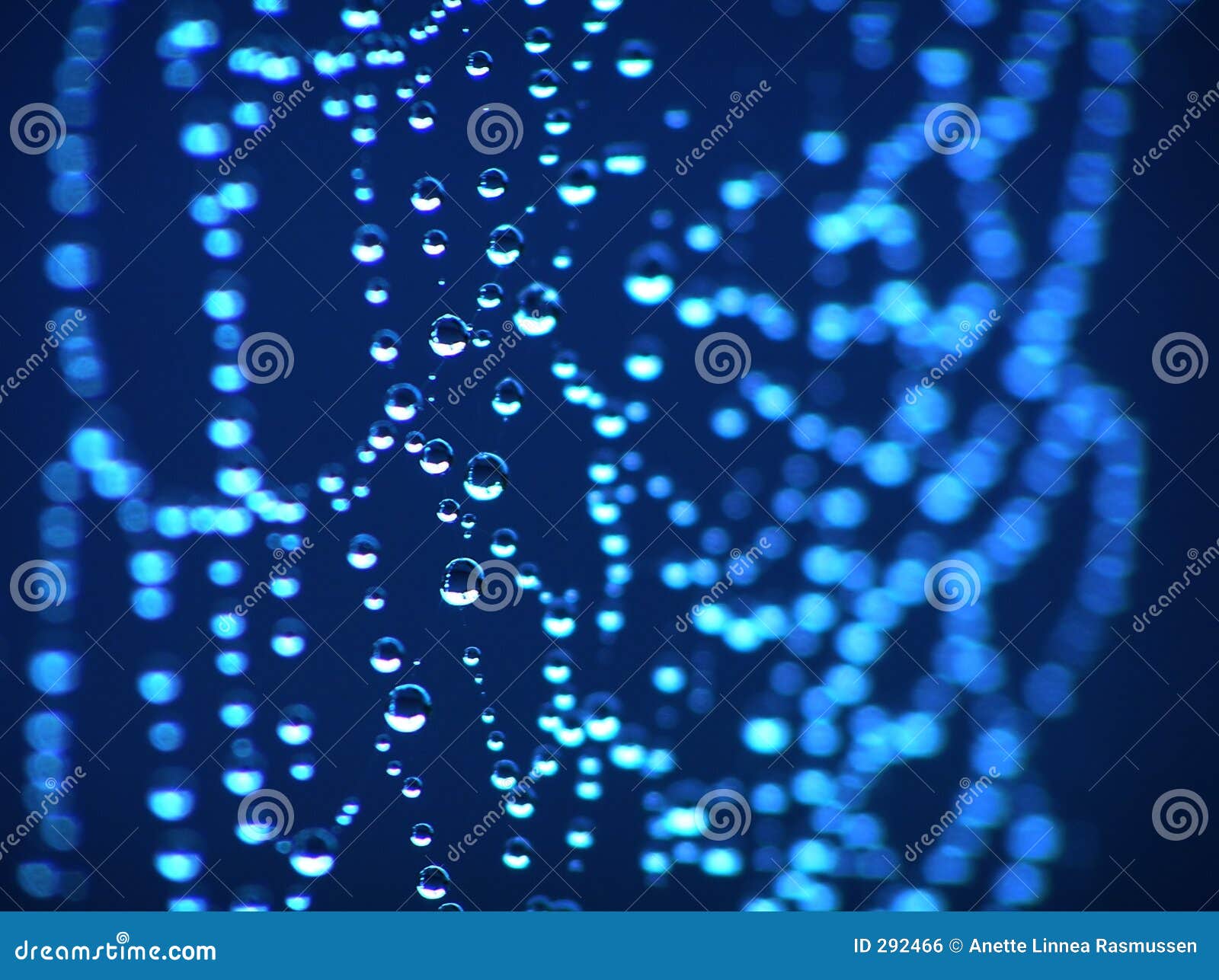 Niebieska pajęczyna. Abstrakcjonistycznego pająka backgorund niebieska sieci