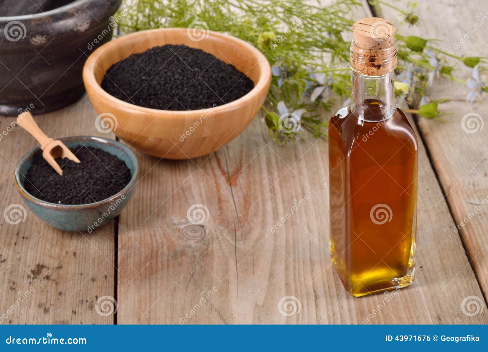 Nigella sativa oil. stock photo. Image of flavouring - 43971676
