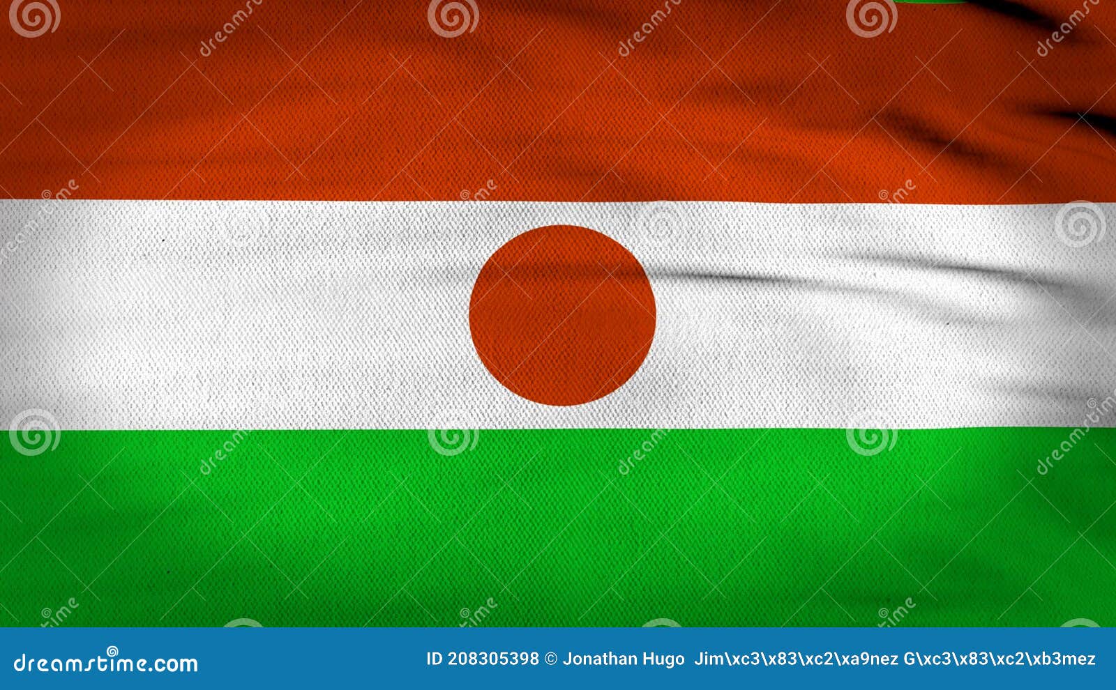 pakistanske bakke tigger 4k animated flag of Niger stock footage. Video of generated - 208305398
