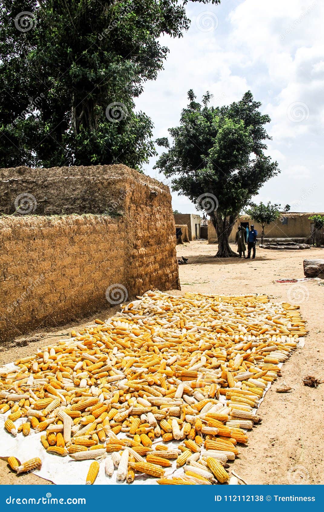 Nigerian Fruit and Vegetables Editorial Stock Photo Image of summer