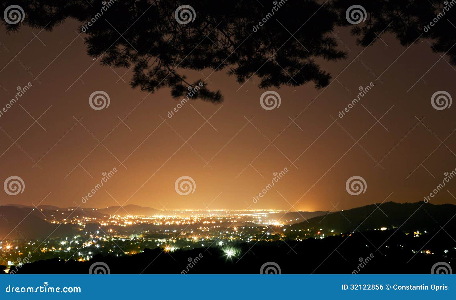 night city seen from forest