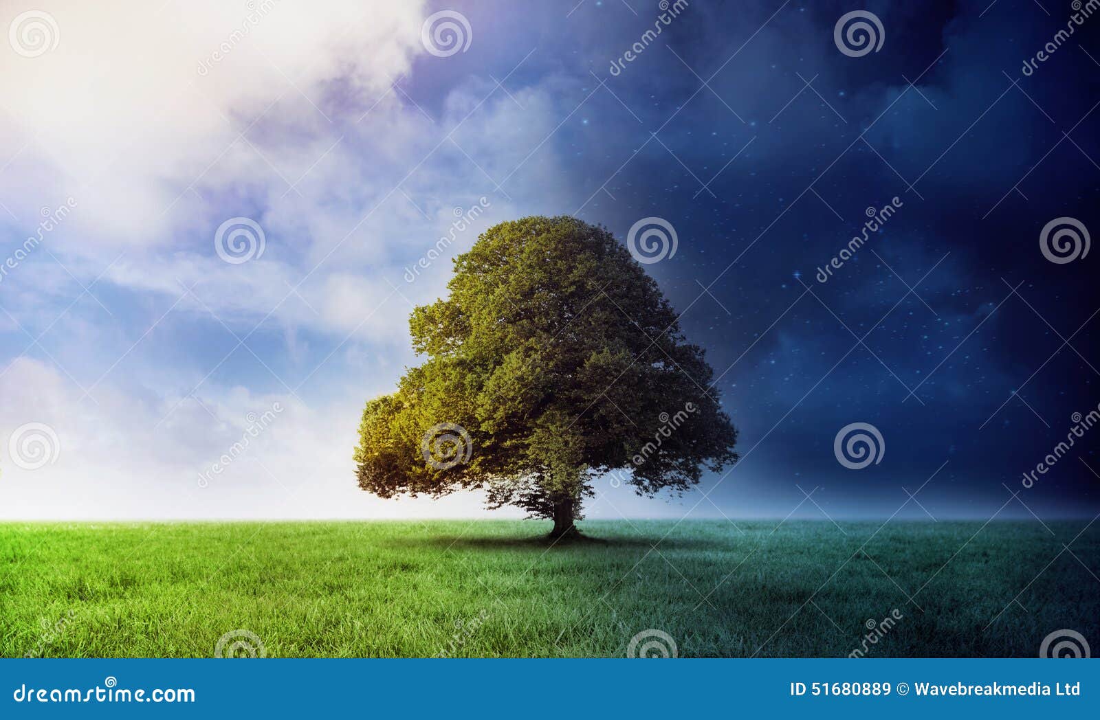 Night and Day Scene with Tree Stock Illustration Illustration of