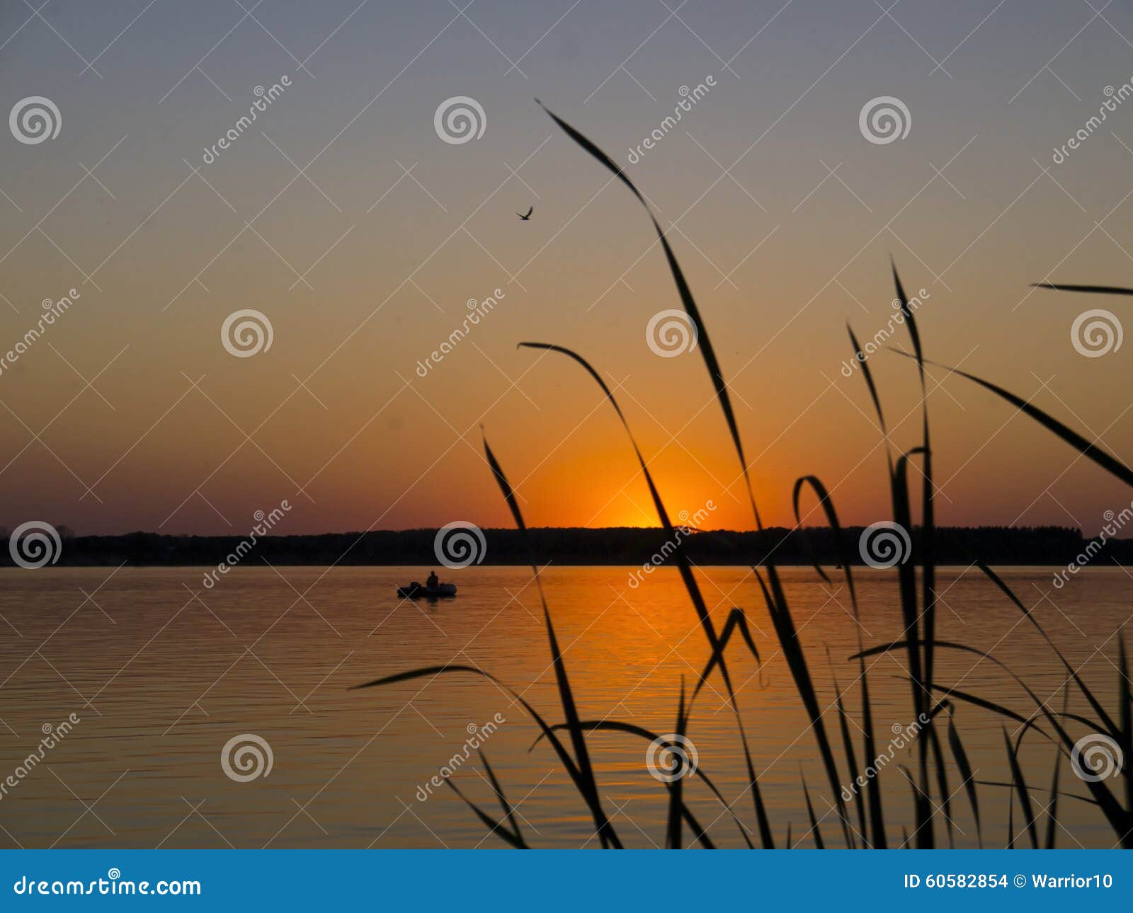 30,347 Night Fishing Stock Photos - Free & Royalty-Free Stock