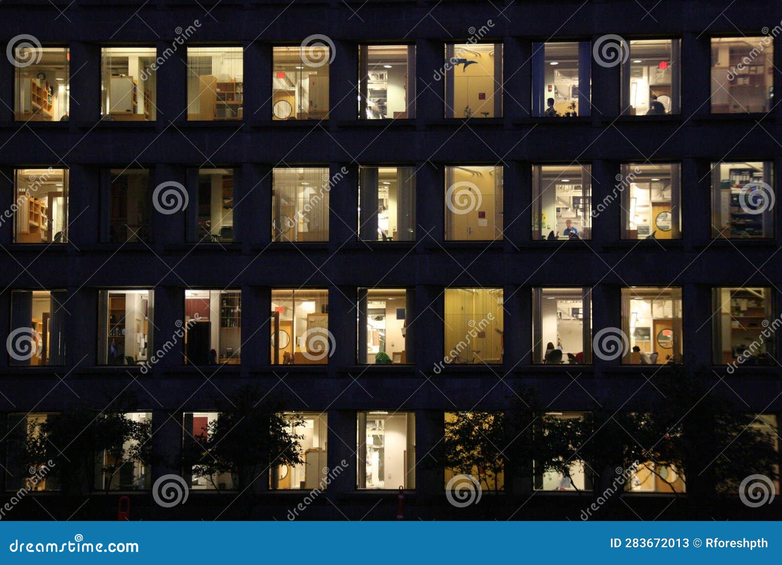 night image of windows at mit.