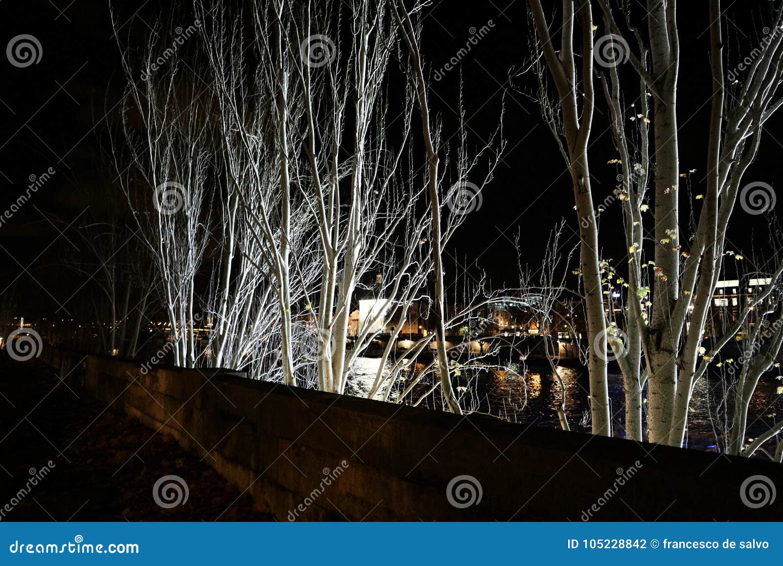 night landscape in paris, december 2017