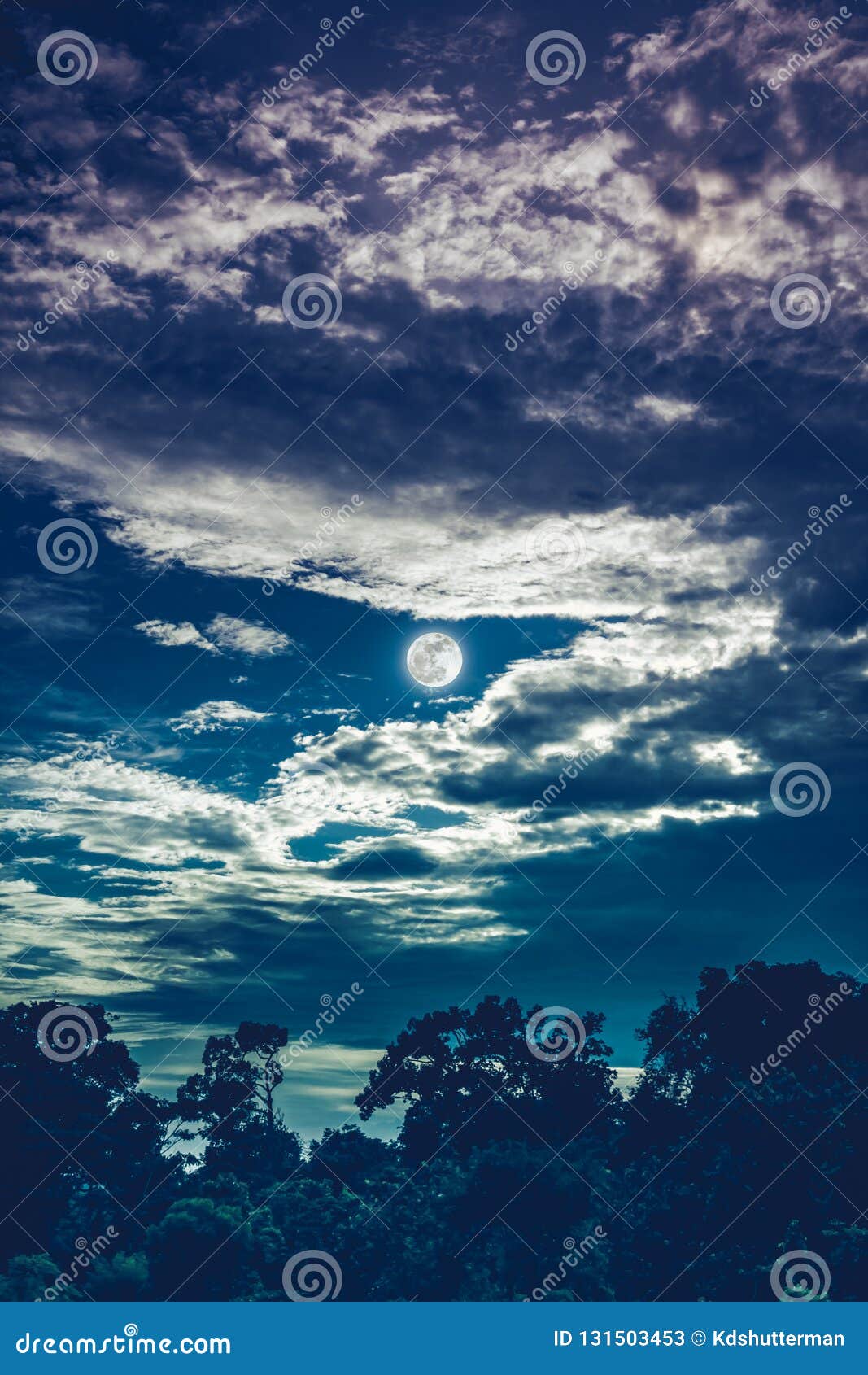 night landscape of sky with dark cloudy and full moon above silhouettes of trees in forest. serenity nature background in gloaming