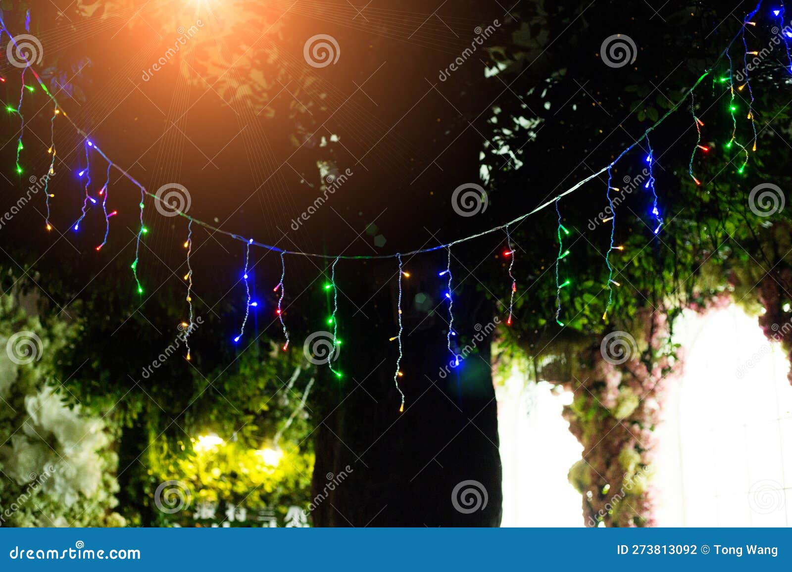 At Night, LED Lights are Placed Indoors To Create a Romantic Atmosphere