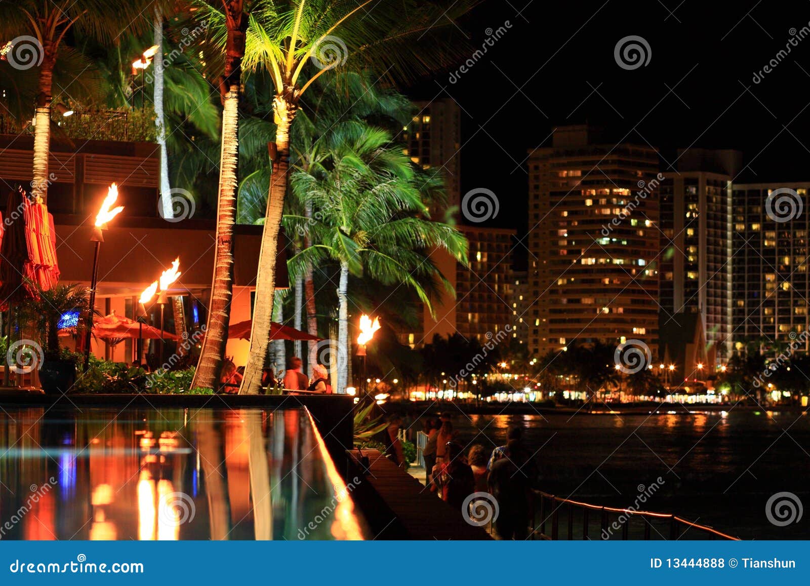Night light Hawaii stock photo. Image of tree, guest 13444888