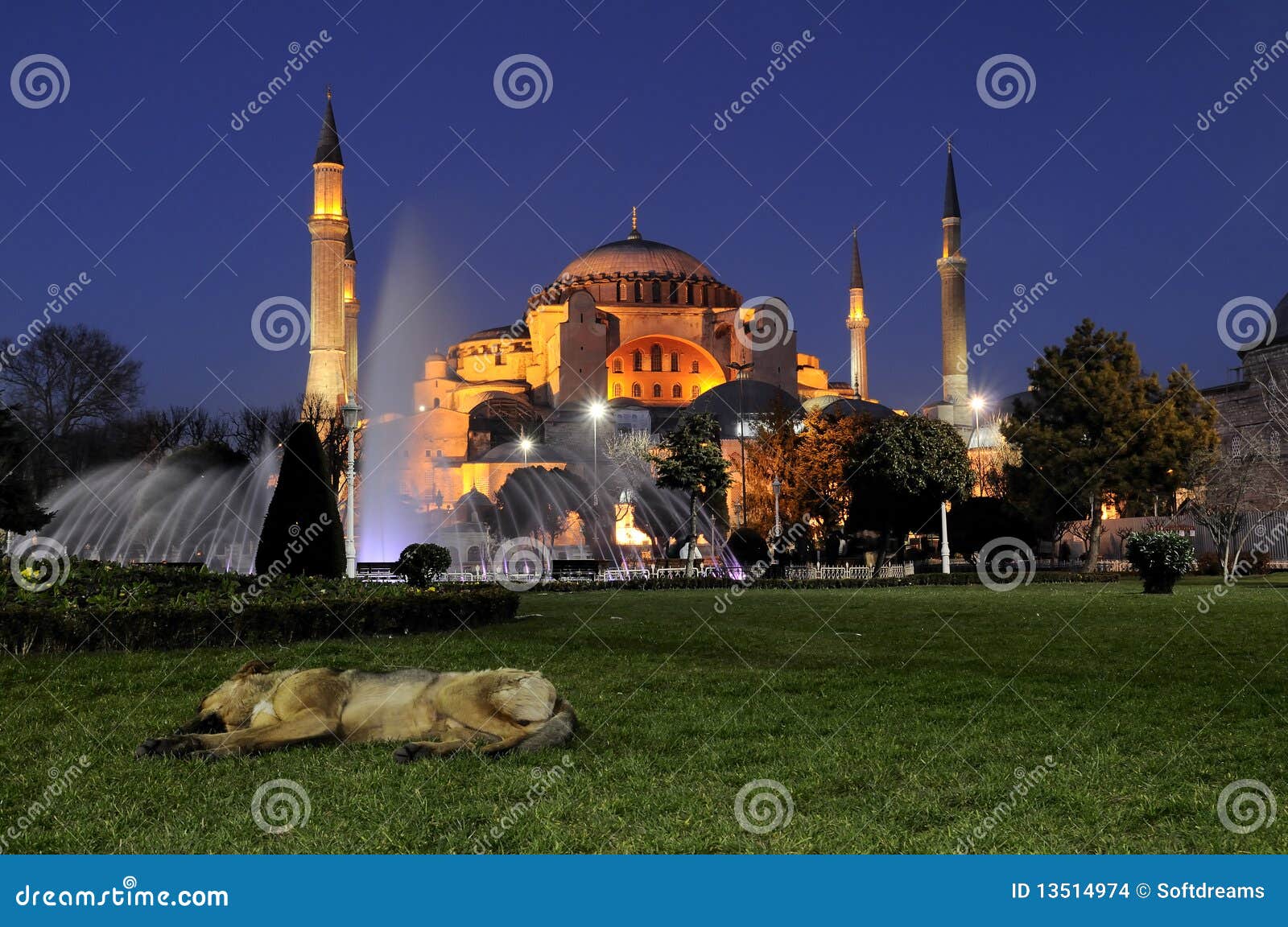 night photos hagia sophia. istanbul-turkey