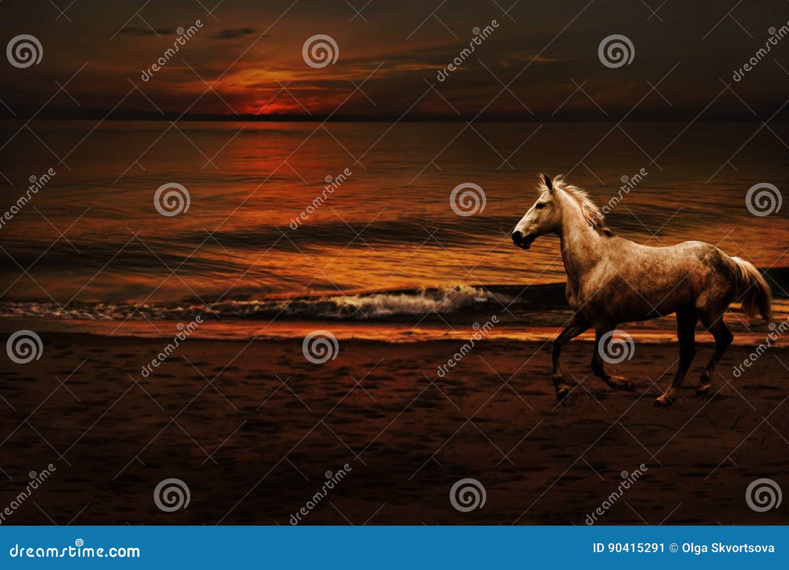 Night Romantic Landscape With A Horse Stock Image Image Of Romantic