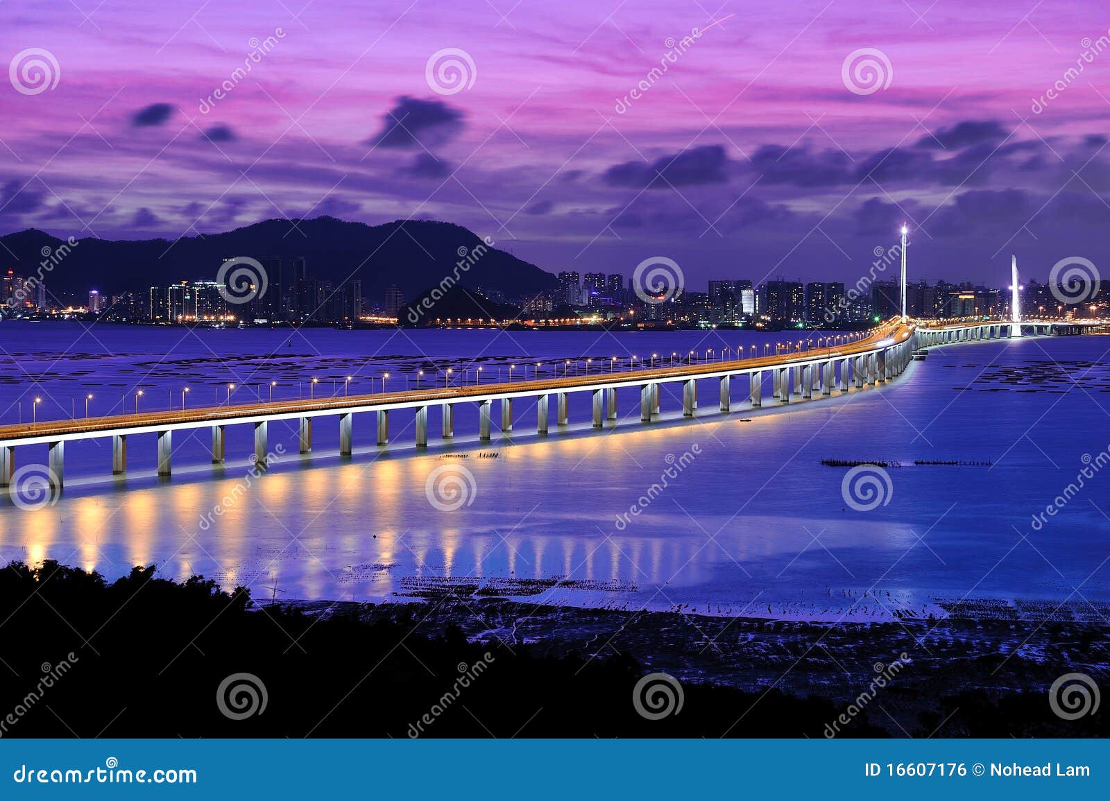 night scene of shenzhen bay bridge