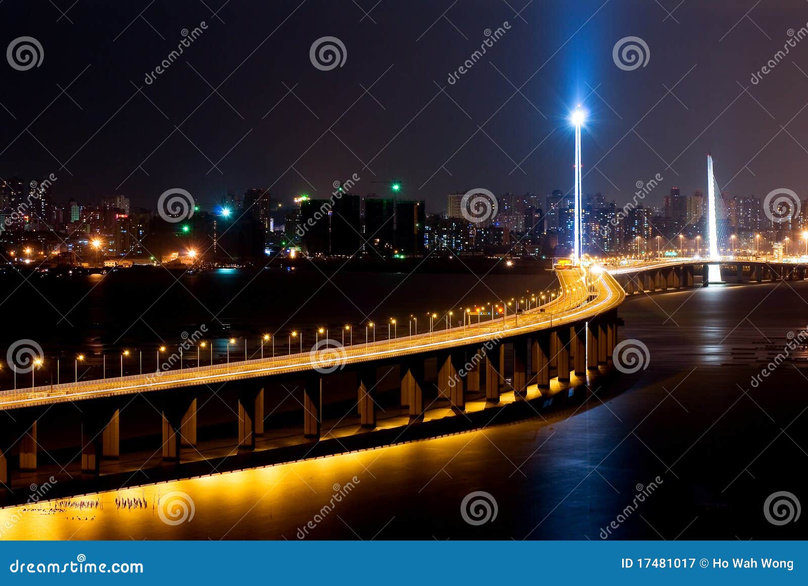 night scene of shenzhen bay bridge